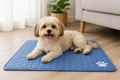 ChillPaw™ – Keep Your Pet Cool & Comfortable