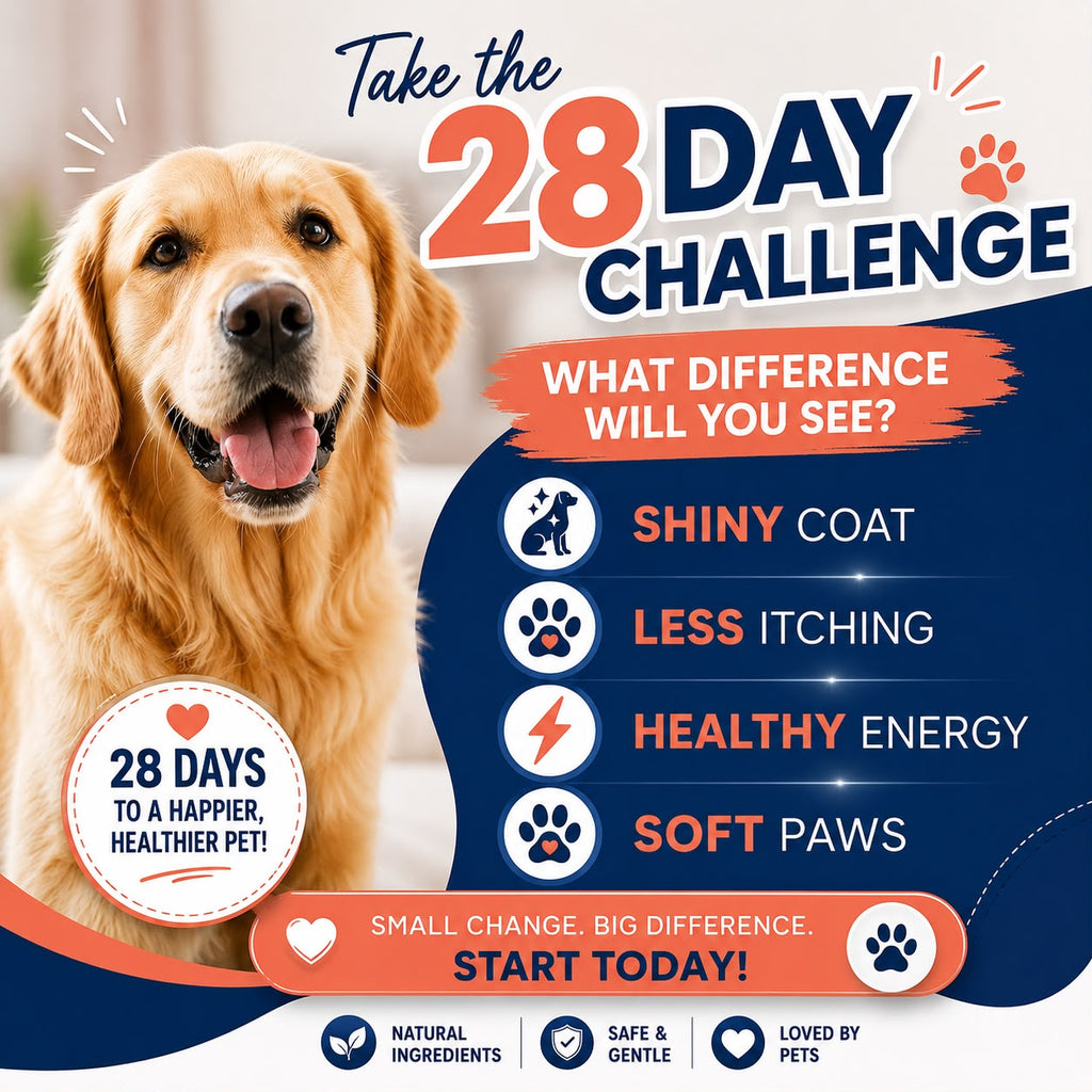 PawGlow™ – 100% Premium Norwegian Salmon Oil